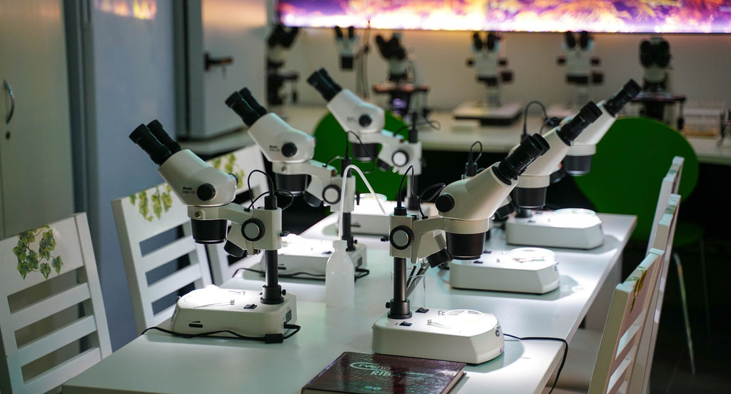 What’s the difference between stereo and biological microscopes? —