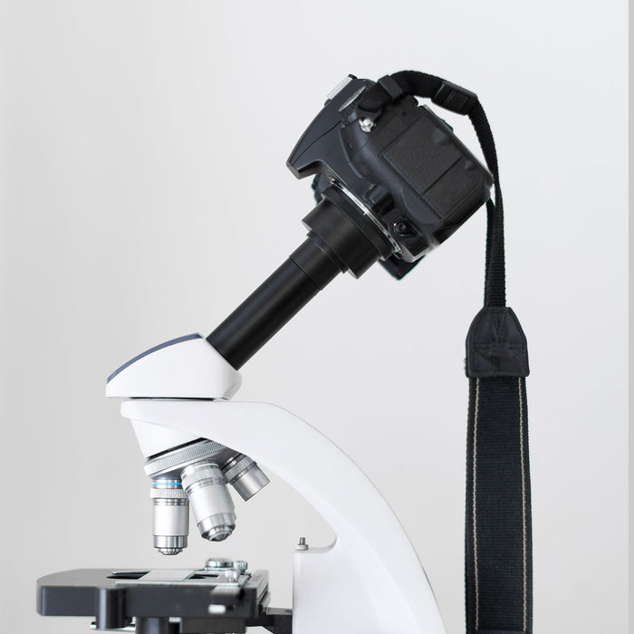 How to connect a DSLR camera to a microscope