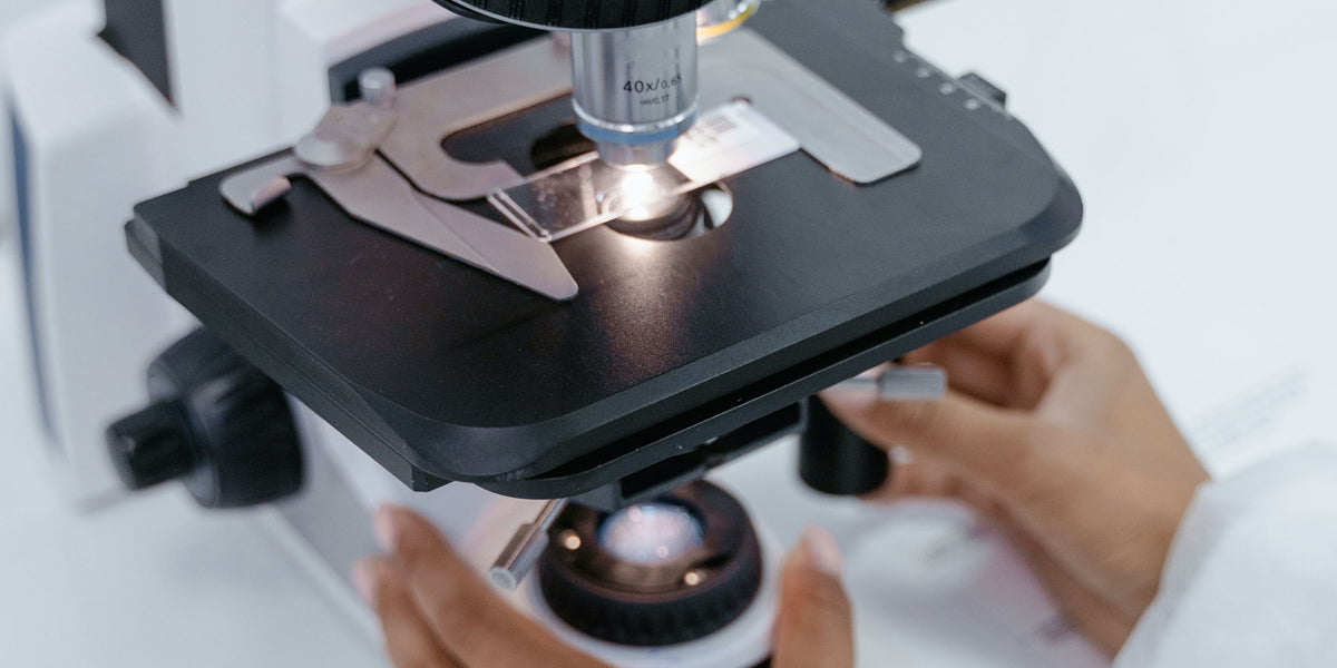 Microscope Lighting - Which is Best LED or Halogen — Microscopes.com.au