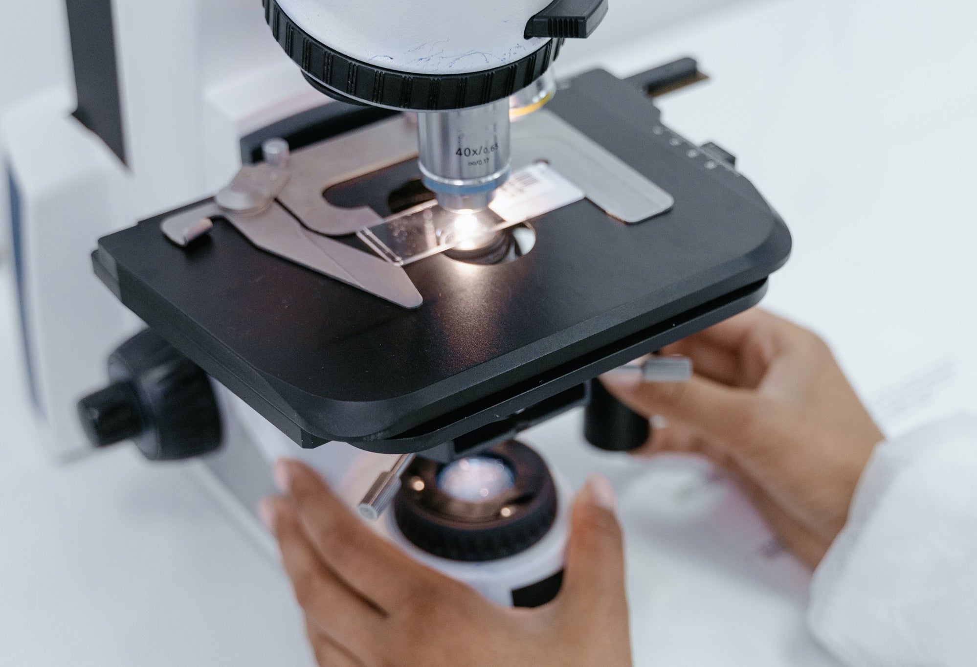 Lighting Microscope Microscope Lighting - Which is Best LED or Halogen — Microscopes.com.au