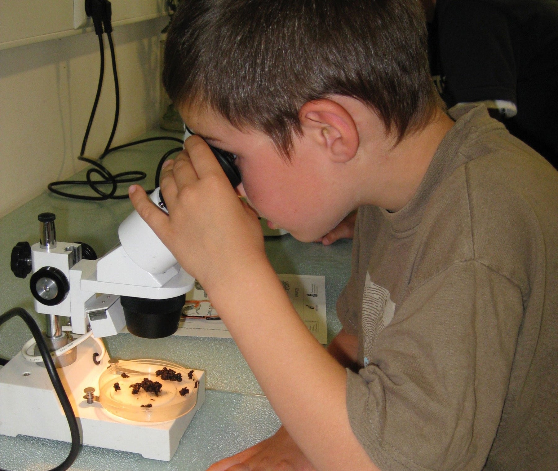 STEM - Schools and Microscopes
