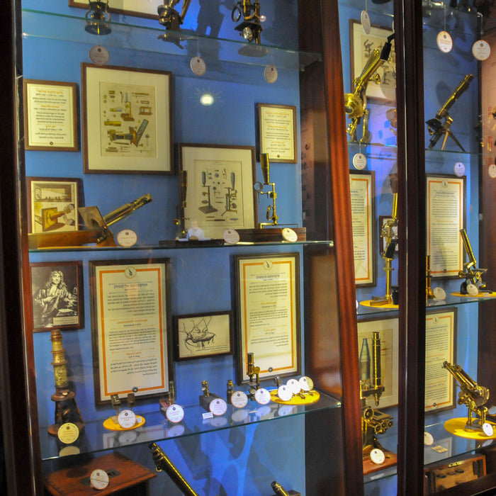 Who invented the microscope?