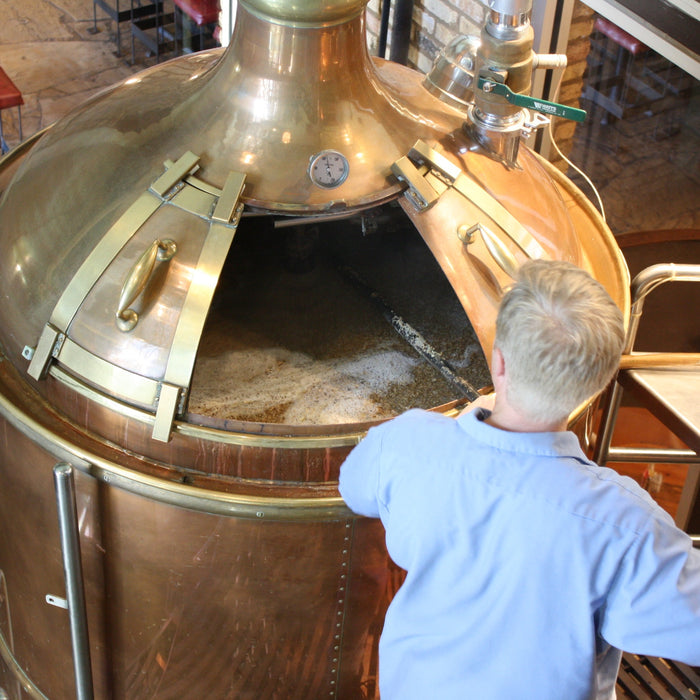 Choosing a Microscope for Beer Brewing Yeast Cell Counting