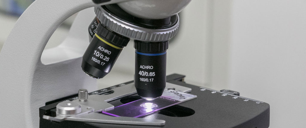 Beginners Guide to Using a Biological Microscope for the First Time ...