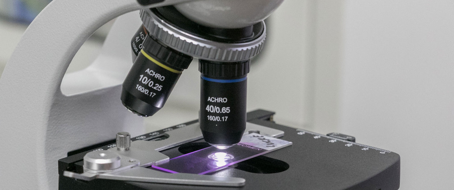 Beginners Guide to Using a Biological Microscope for the First Time ...