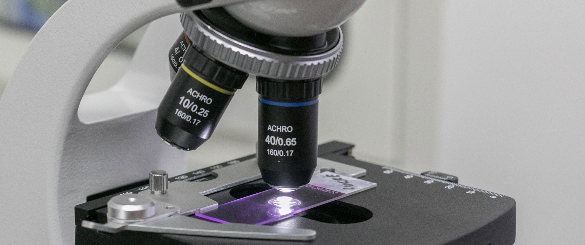 Beginners Guide to Using a Biological Microscope for the First Time ...