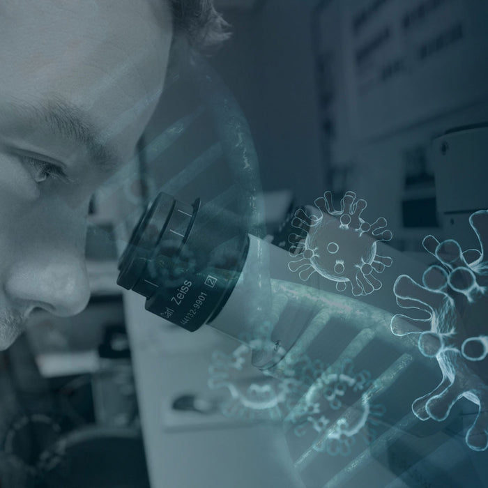 Can I see the COVID virus under the microscope