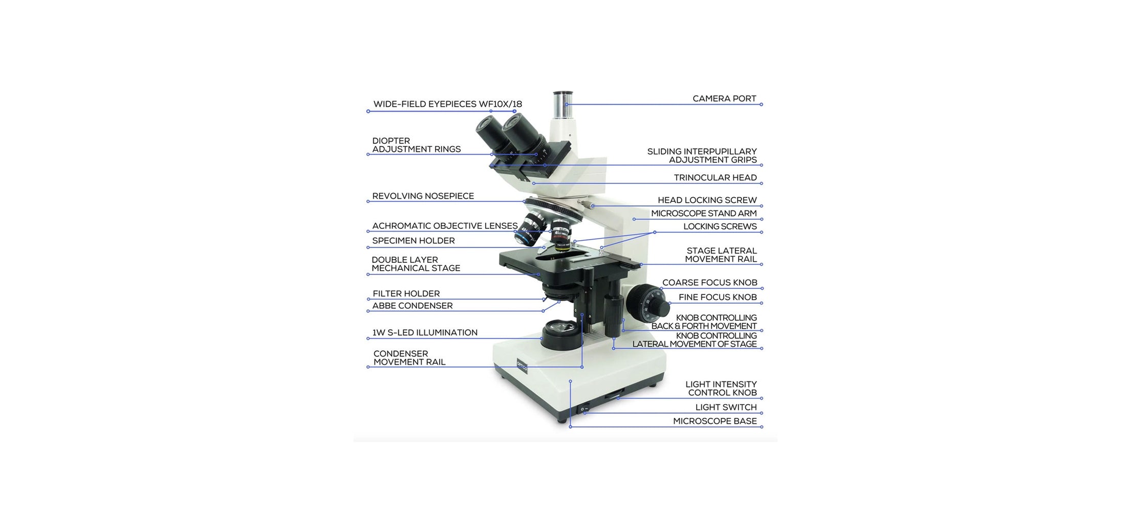 Microscope diagram – parts of a compound upright microscope ...