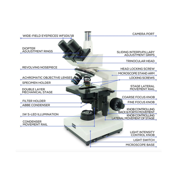 Microscope diagram – parts of a compound upright microscope
