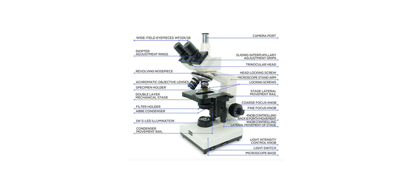 Compound Light Microscope Without Labels