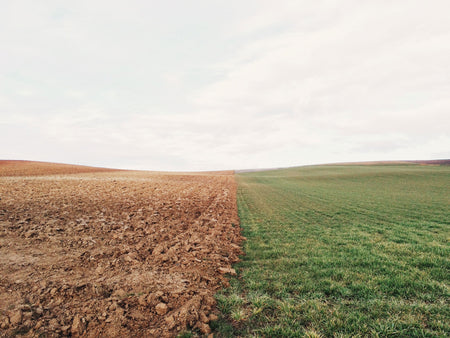 Which is the best microscope for soil analysis