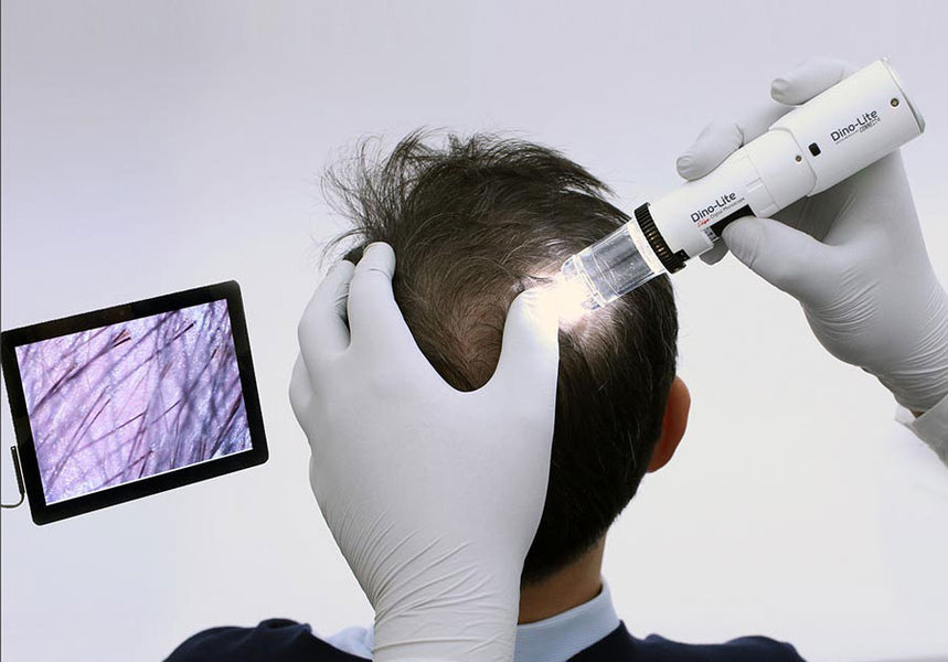 Hair analysis under the microscope — Microscopes.com.au