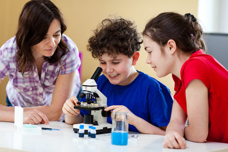 How to choose a microscope for homeschooling