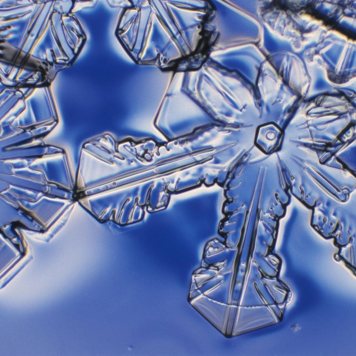 Ice crystals under the microscope