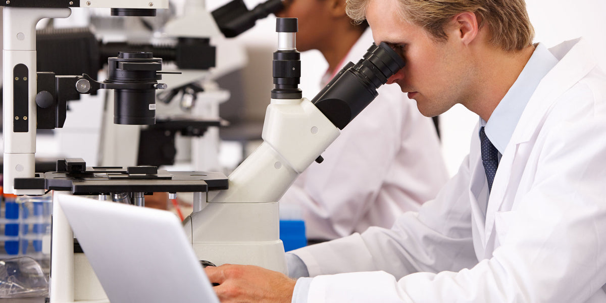 What is an inverted microscope used for? — Microscopes.com.au