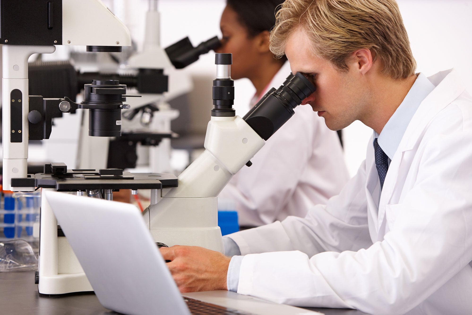 Using Inverted Microscope What is an inverted microscope used for? — Microscopes.com.au