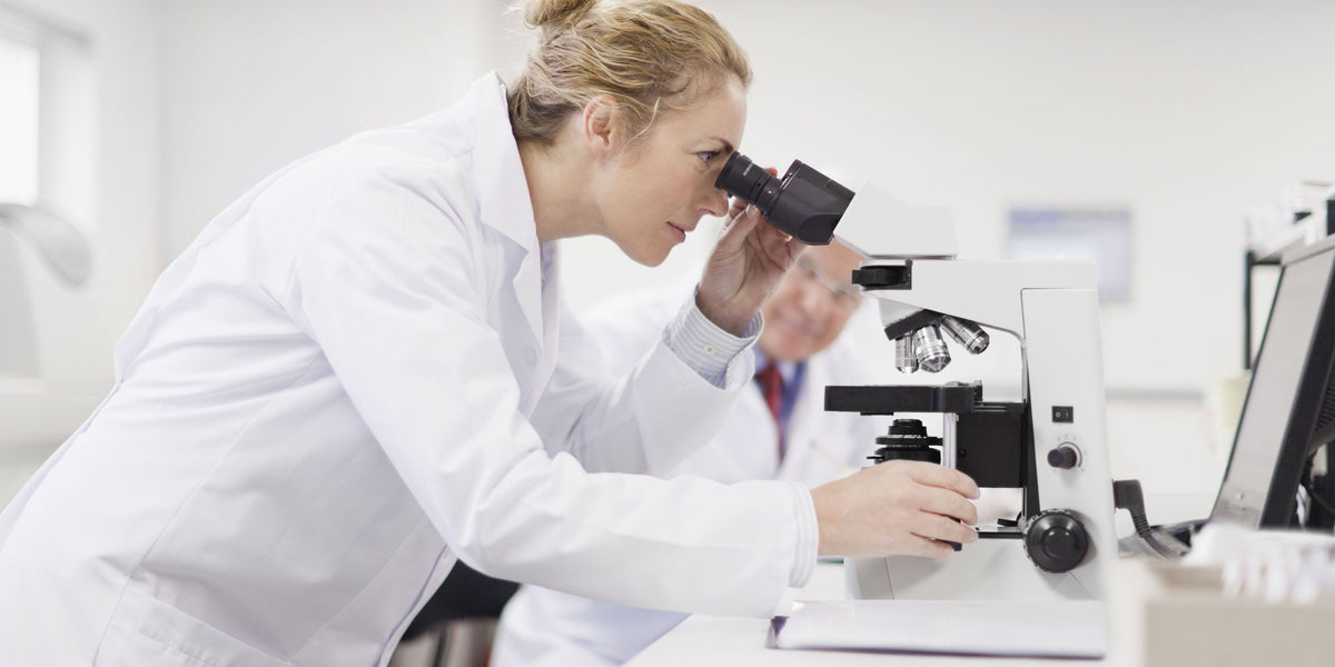 Six different types of microscopes explained — Microscopes.com.au