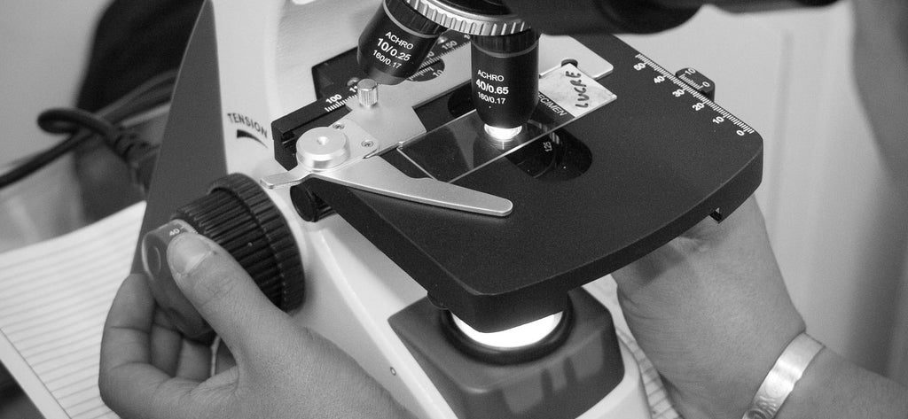 Understanding the coarse and fine adjustment knobs on a microscope ...