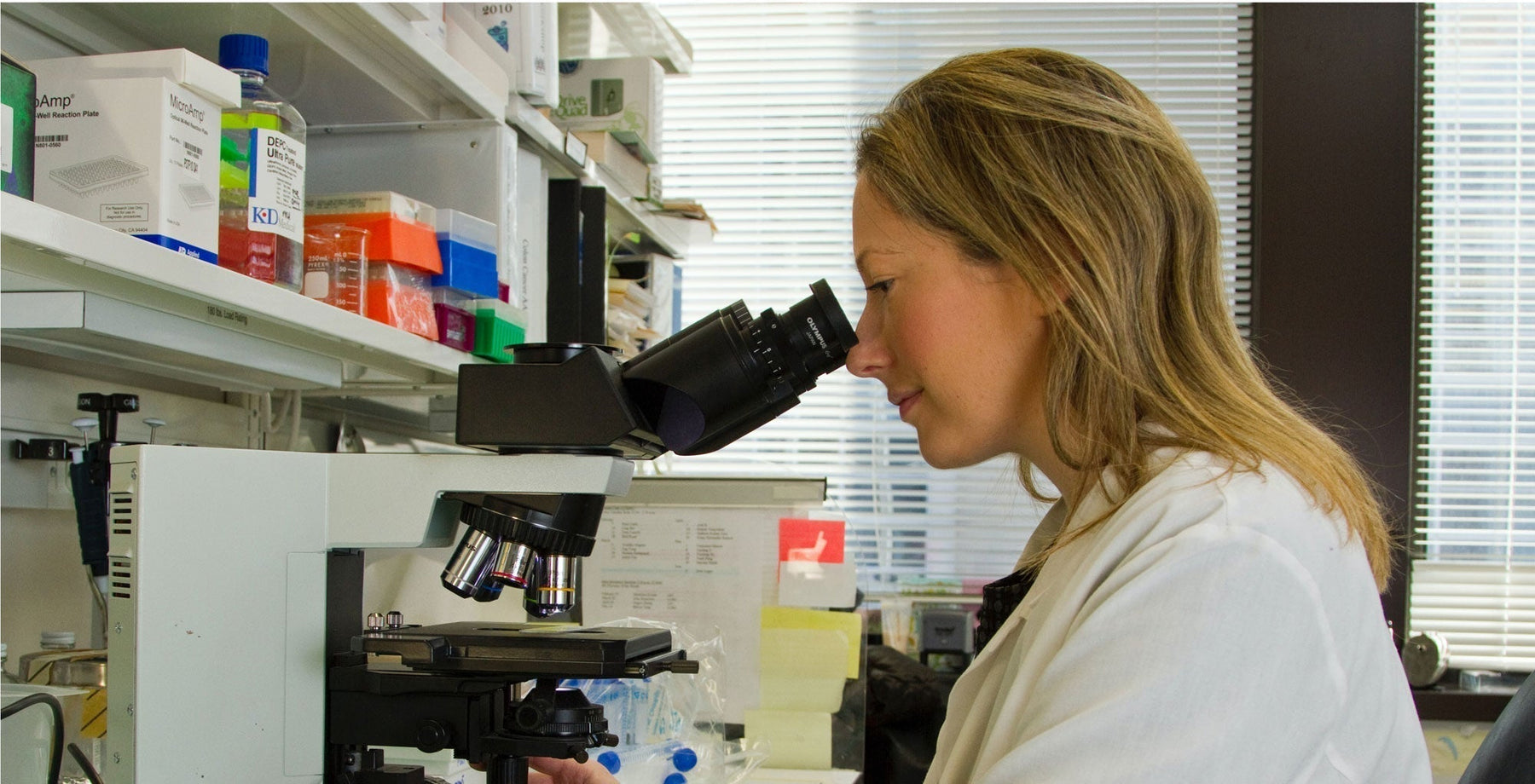 How to count cells with a haemocytometer