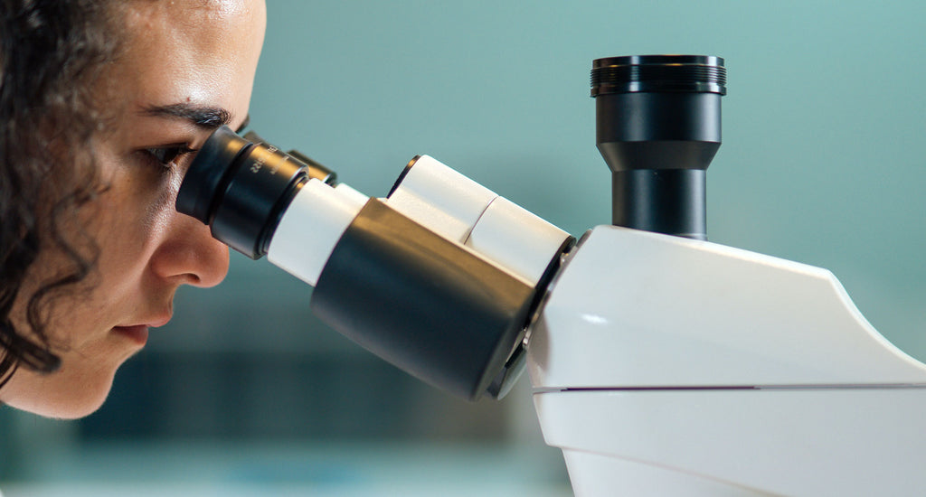 Different types of microscope heads explained — Microscopes.com.au