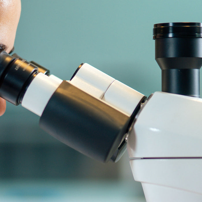 Different types of microscope heads explained