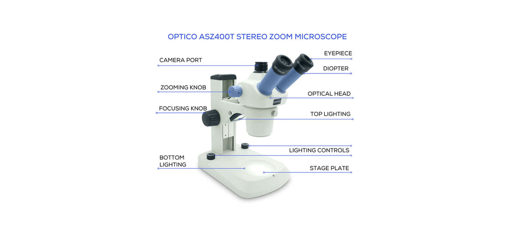 Stereo microscope parts diagram with labels and functions — Microscopes ...