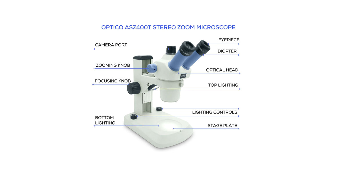 Eye Microscope Label Diagram Of Binoculars Microscope Labeled