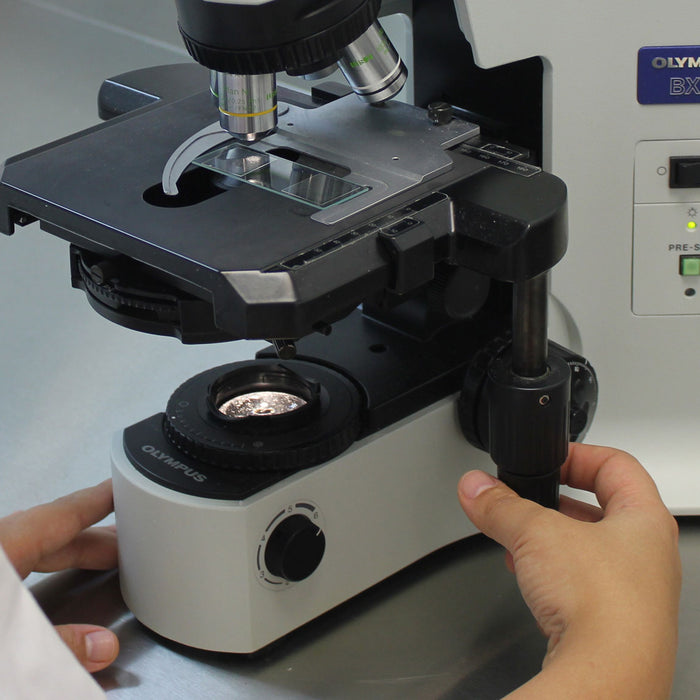 Rheostat In Microscope Rheostat Microscope Purpose