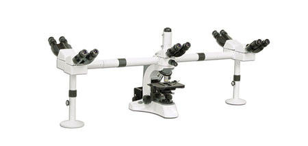 Multi-head training microscopes - what are they used for?