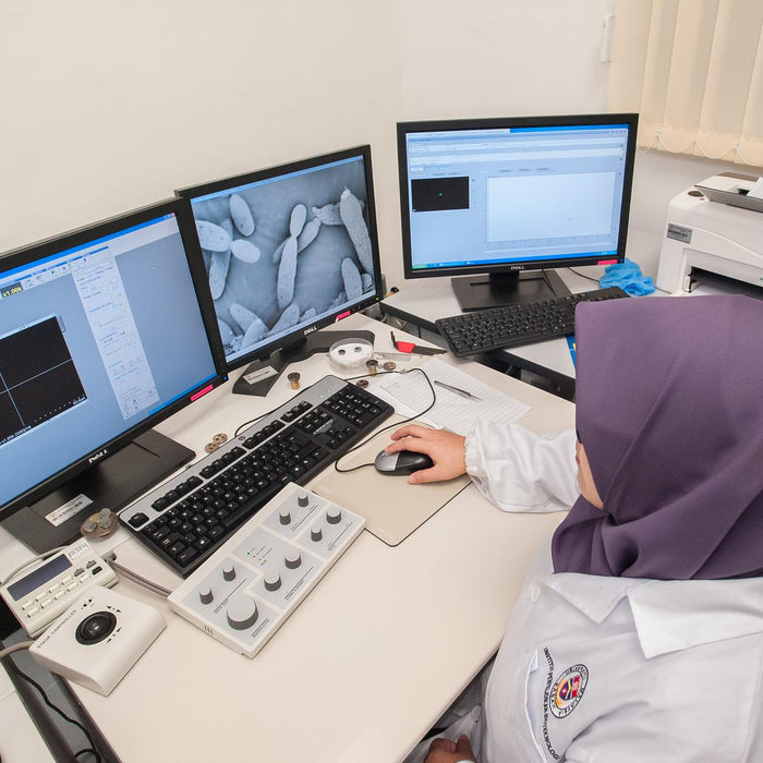 Purchasing a Scanning Electron Microscope (SEM)