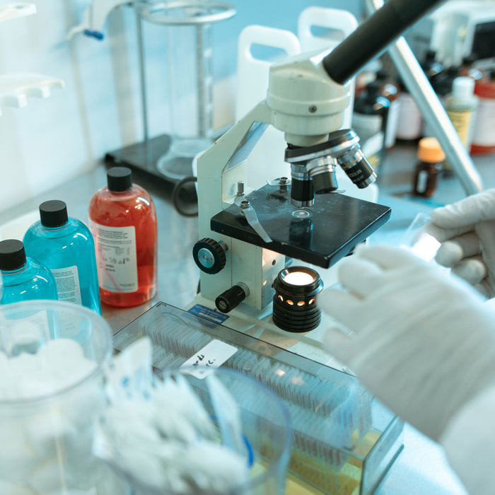 How to use stains to view bacteria under the microscope