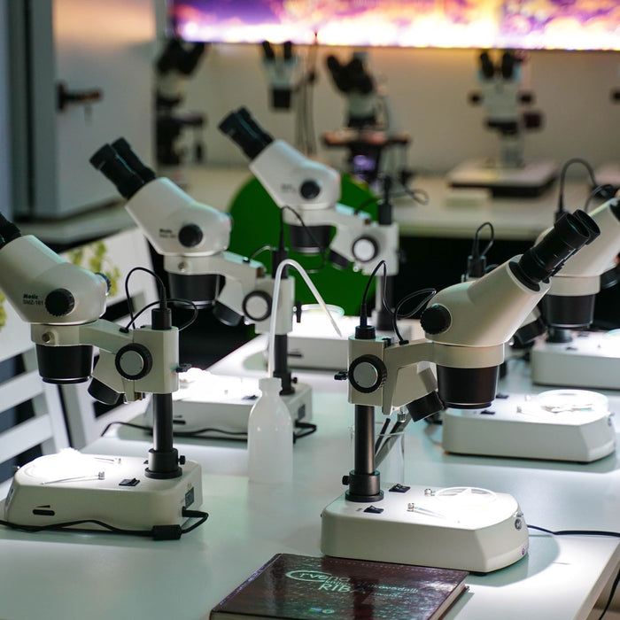 What’s the difference between stereo and biological microscopes?