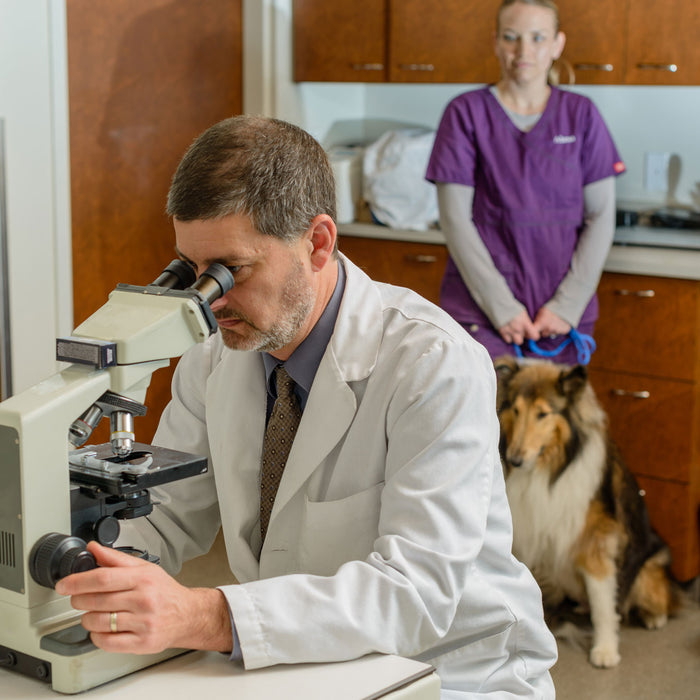 best biological microscope