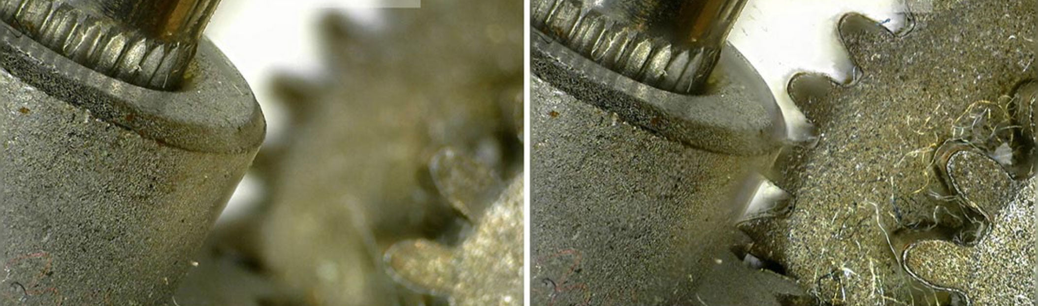 How to use z-stacking software for microscopes — Microscopes.com.au