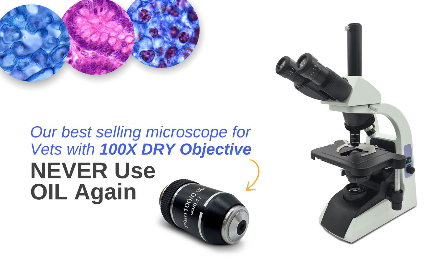 When you need results quickly, your microscope shouldn’t hold you back.