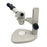 Nikon SMZ445 Stereo Zoom Microscope with Plain Stand