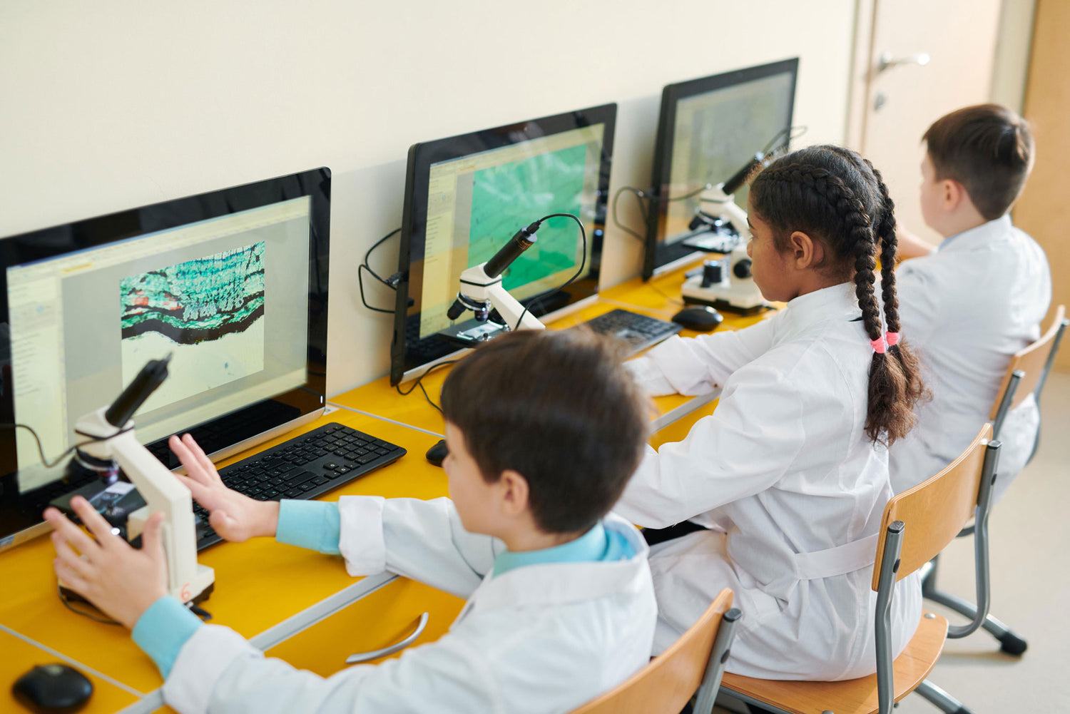 Microscope Education Education — Microscopes.com.au