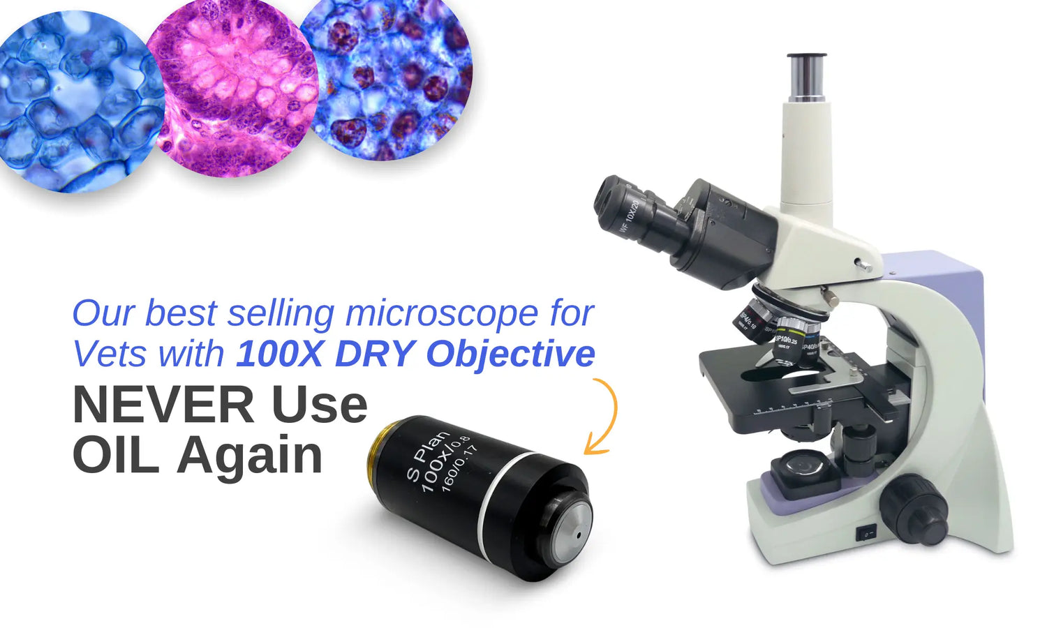 Pursue your research and studies with  high-quality microscopes designed to provide you with crystal-clear, reliable images.