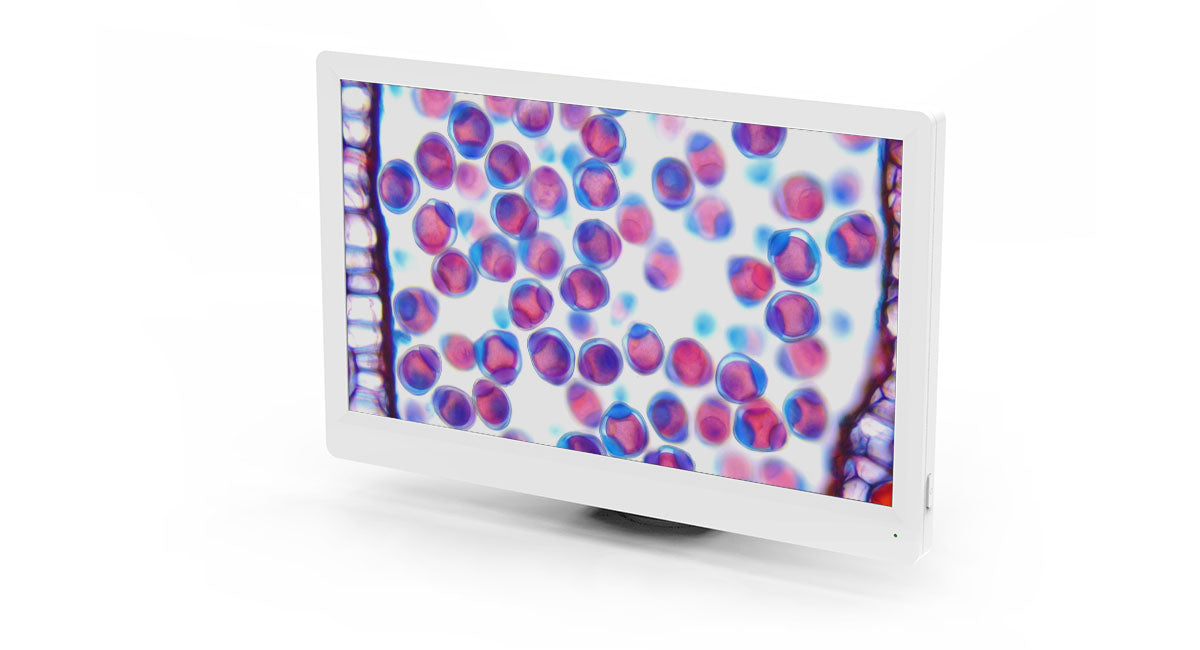 digital microscope camera with screen