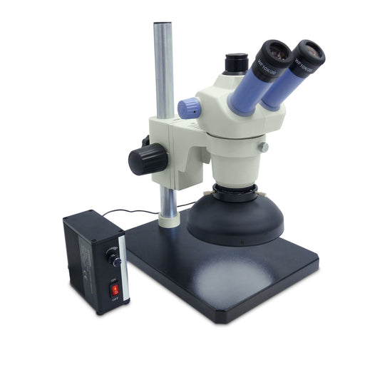 Stereo Microscopes — Microscopes.com.au