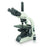 BM2000-PH Phase Contrast Microscope (Infinity PLAN Objectives)