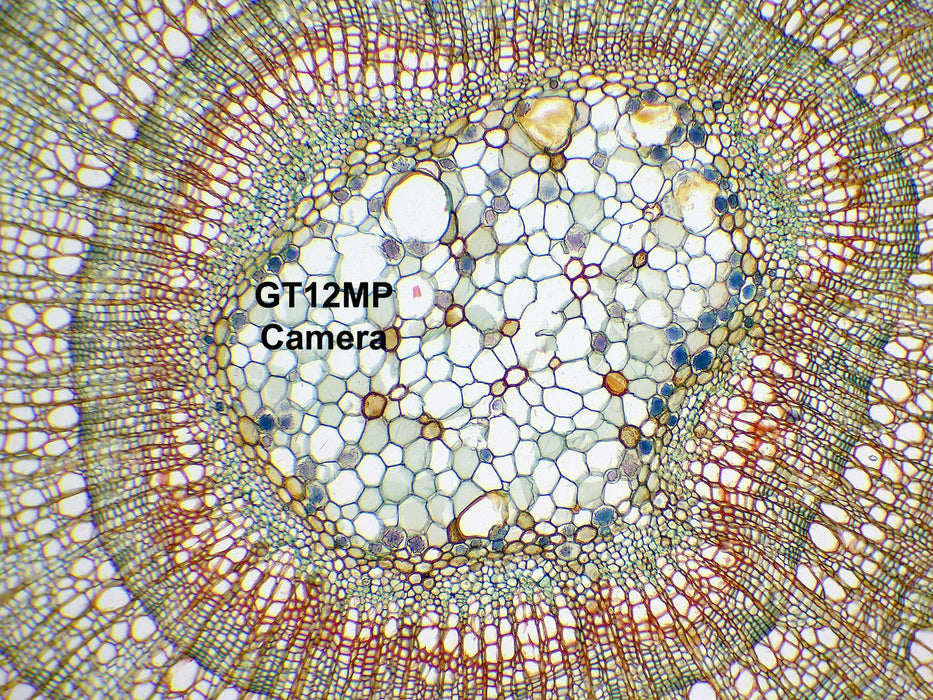 Optico GT Series Digital Microscope Cameras