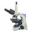 Veterinary Compound Microscope for Vets