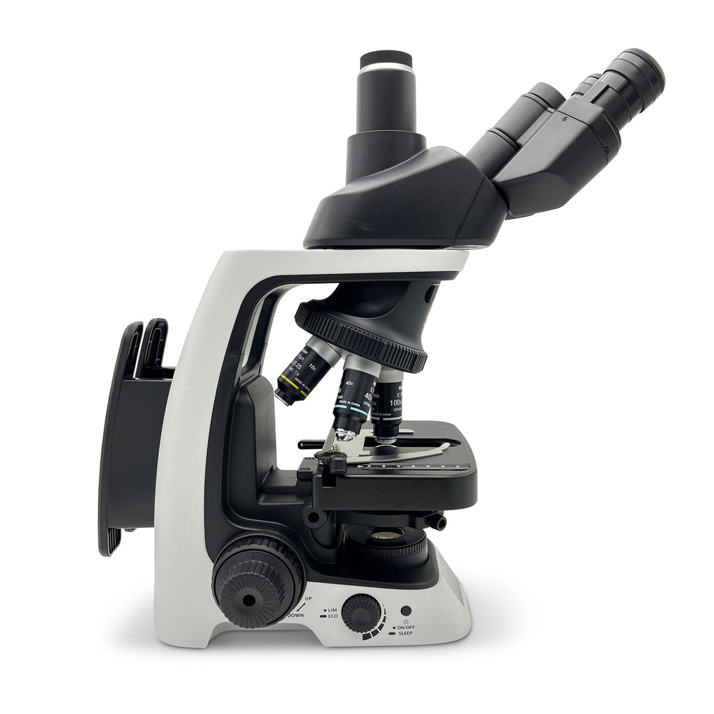 Fiche Microscope Nikon Eclipse Si Fiche Technique – TWLPP