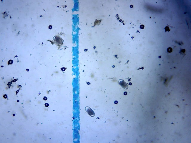 Faecal Worm Egg Counting Microscope Bundle
