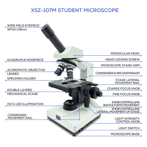 Microscope Upward View Upright Microscopes โ Microscopes.com.au