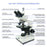XSZ-107T Trinocular Biological Microscope