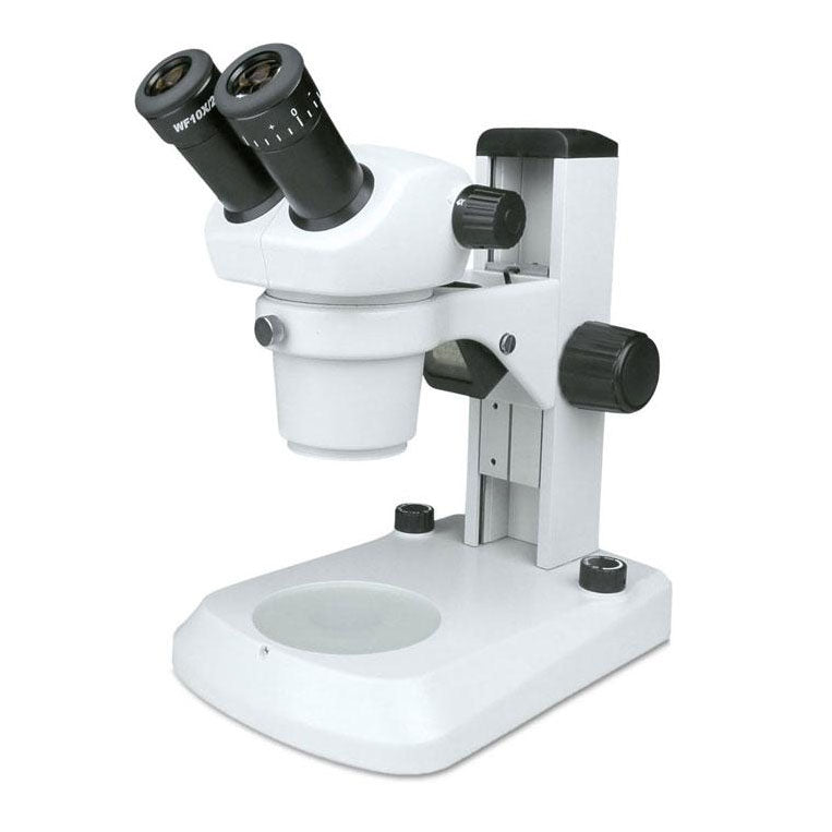 Stereo Microscopes — Microscopes.com.au