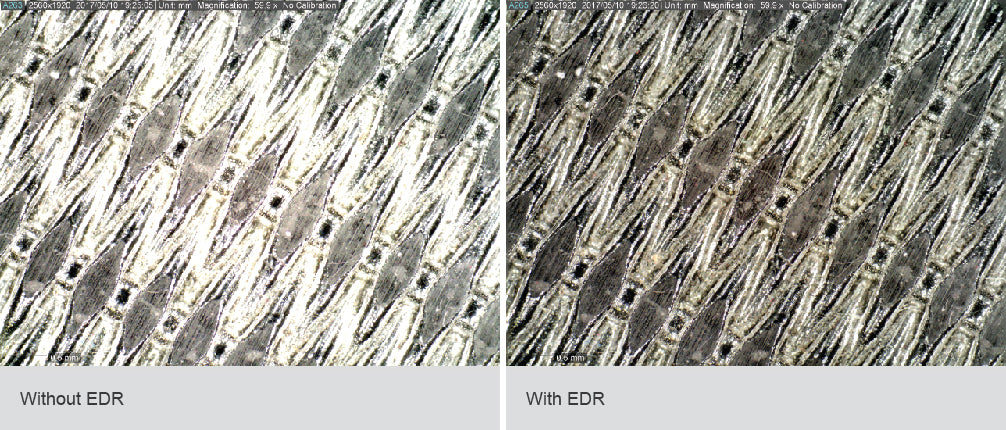 Dino-Lite AM7915MZTL