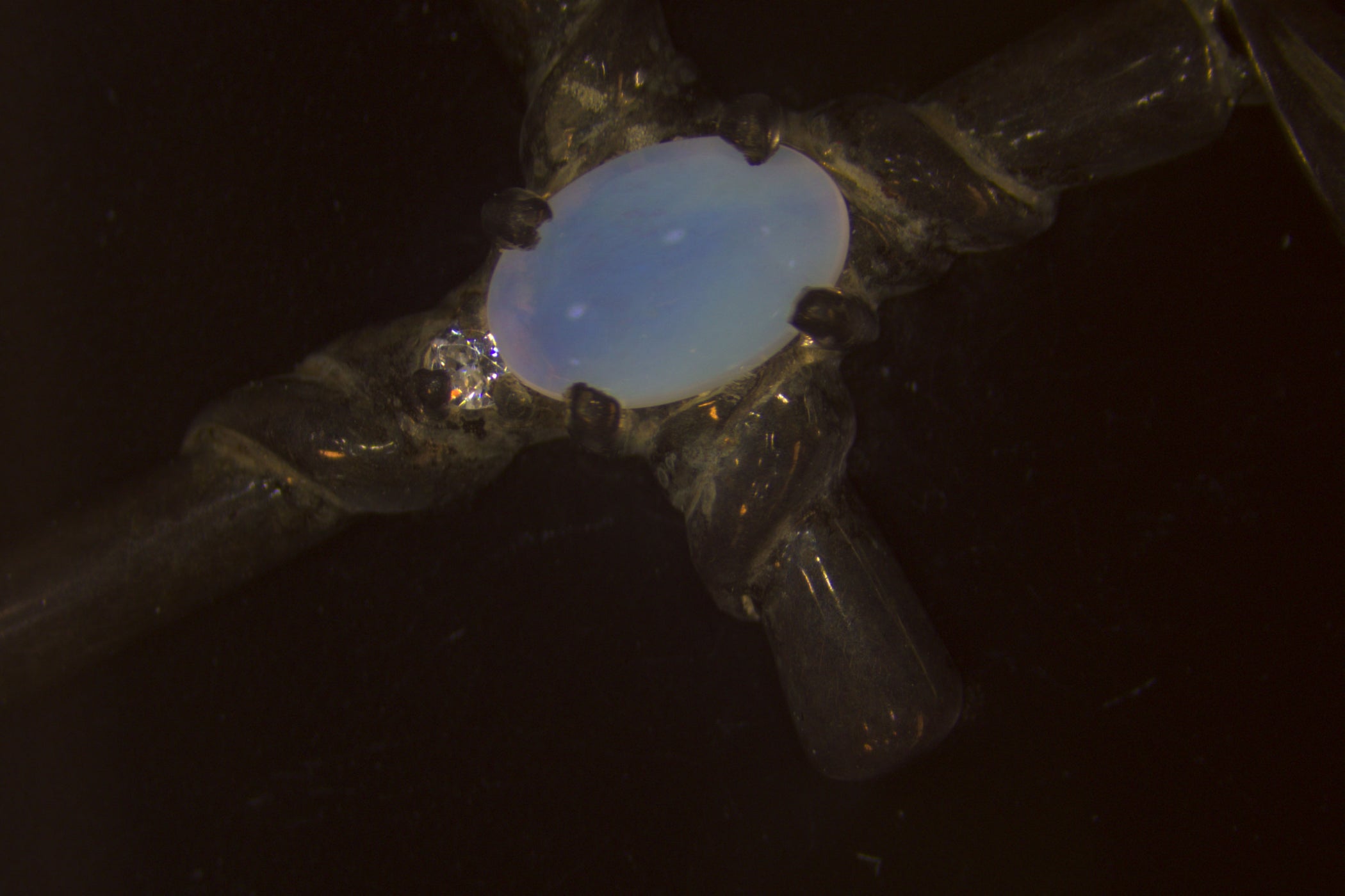 8W-LED Microscope Ring Light with Polarizer — Microscopes.com.au